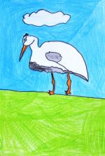 Frankovský Adam.jpg